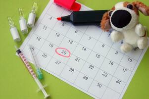 une seringue avec ampoules, une doux jouet une chien et une calendrier avec une marqué Date sur lumière vert Contexte. photo