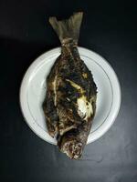 grillé épicé poisson isolé sur noir arrière-plan, Haut vue photo