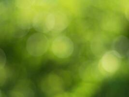 arrière-plan flou naturel à l'extérieur dans des tons verts et jaunes, arrière-plan flou de feuille d'arbre vert avec bokeh photo