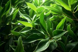 ai généré éthéré feuillage le enchanteur vue de vert feuilles pris dans milieu vol ai généré photo