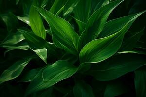 ai généré dynamique beauté captivant image de vert feuilles gracieusement suspendu dans le air ai généré photo