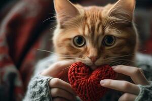 ai généré chat en portant une tricoté cœur photo