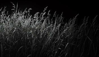 ai généré noir bois sol avec foncé bois planches photo