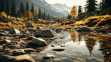 magnifique forêt scène photo