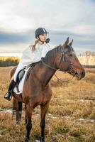 magnifique blond professionnel femelle jockey équitation une cheval dans champ. relation amicale avec cheval. haute qualité photo