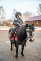 peu mignonne fille équitation une peu cheval ou poney dans le hiver dans champ dans le l'hiver. haute qualité photo
