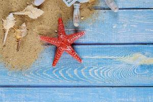 concept de vacances d'été, coquillages, étoiles de mer sur le sable de la plage de billets en dollars