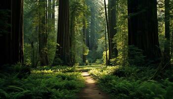 ai généré une chemin par le les bois avec grand des arbres photo