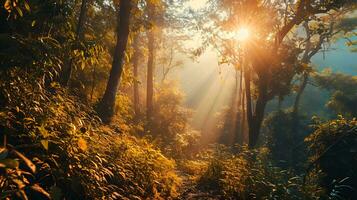 ai généré radiant rayons de soleil transpercer par forêt canopée photo