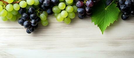 vert et noir juteux les raisins sur blanc Contexte photo