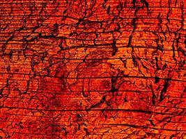texture bois orange photo