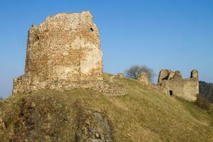 Ruines du château de Lichnice, République tchèque photo