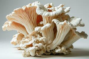 ai généré huître champignons dans le cuisine table professionnel La publicité la photographie photo