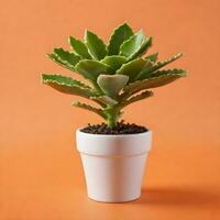 ai généré Kalanchoe plante dans blanc pot isolé sur Orange Contexte. ai génératif photo