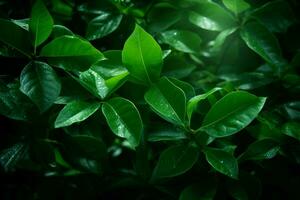 ai généré dynamique beauté captivant image de vert feuilles gracieusement suspendu dans le air ai généré photo