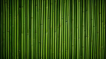 ai généré horizontal vert bambou Contexte texture photo