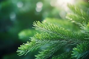 ai généré proche en haut macro vue de sapin arbre branches photo