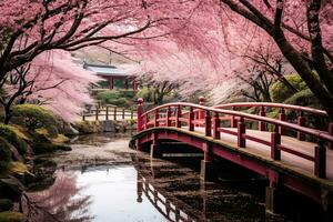 ai généré magnifique Cerise fleur Sakura dans Japon jardin avec rouge pont, ai généré photo