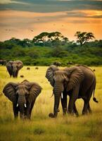 ai généré journée mondiale de la faune photo animal la nature non domestiqué dans herbeux savane à le coucher du soleil génératif ai