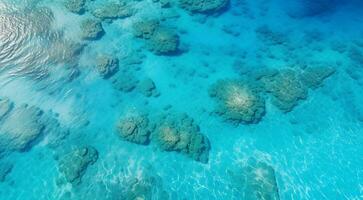 ai généré tropical bleu mer scène, bleu l'eau dans le mer, tropical océan, océanique scène photo