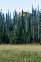 Colorado weminuche région sauvage paysage et Prairie photo