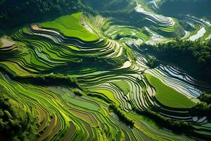 ai généré aérien vue de vert riz terrasses dans mu cang chaï, yenbai, vietnam, ai généré photo