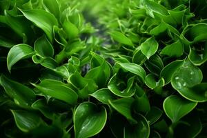 ai généré dynamique beauté captivant image de vert feuilles gracieusement suspendu dans le air ai généré photo