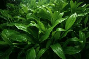 ai généré dynamique beauté captivant image de vert feuilles gracieusement suspendu dans le air ai généré photo