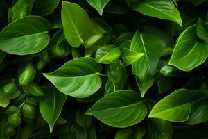 ai généré aérien ballet feuilles dans milieu air création une fascinant afficher de natures mouvement ai généré photo