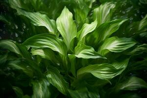 ai généré éthéré feuillage le enchanteur vue de vert feuilles pris dans milieu vol ai généré photo