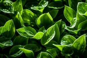 ai généré aérien ballet feuilles dans milieu air création une fascinant afficher de natures mouvement ai généré photo