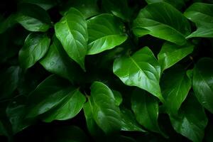 ai généré éthéré feuillage le enchanteur vue de vert feuilles pris dans milieu vol ai généré photo