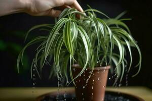 ai généré nettoyage intérieur mis en pot plante feuilles. produire ai photo