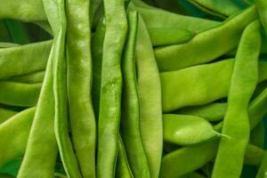 fermer photo de vert des haricots