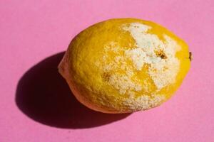 moisi citron sur rose Contexte photo