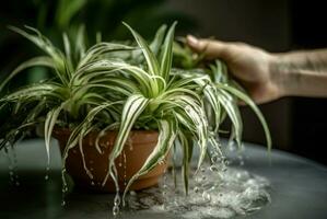 ai généré nettoyage intérieur plante feuilles avec l'eau. produire ai photo