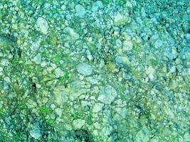 texture du sol de l'eau verte