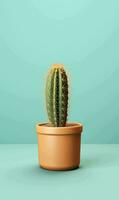 ai généré cactus dans pot sur bleu Contexte. minimal style. 3d rendre photo