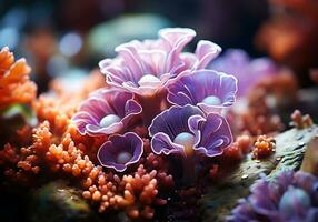 ai généré coloré anémones dans le océan. sous-marin vie. photo