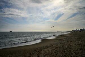 printemps sur une plage photo