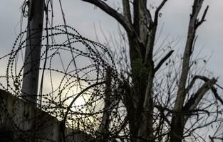 barbelé câble clôture contre le ciel dans Ukraine photo