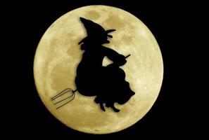 silhouette de sorcière d'halloween photo