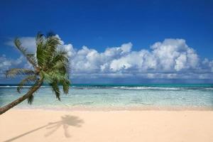 plage parfaite à hawaii photo