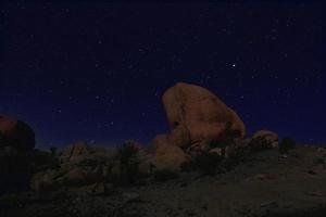 ciel bleu nuit dans le parc national de joshua tree photo