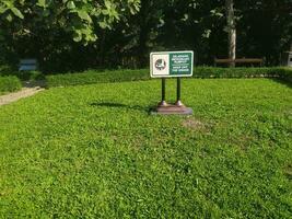 vues de vert herbe et ombragé des arbres photo