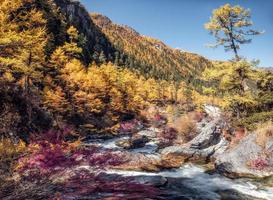 belle cascade dans la forêt de pins d'automne dans le parc national