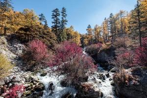 Cascade colorée dans la forêt d'automne à la réserve naturelle de Yading photo