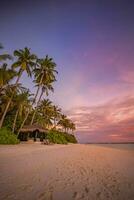 île palmier mer plage de sable. paysage de plage panoramique. inspirer l'horizon du paysage marin de la plage tropicale. ciel coucher de soleil orange et doré calme tranquille ambiance estivale relaxante. bannière de vacances de voyage de vacances photo