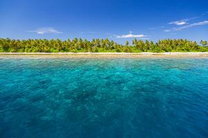 étourdissant paradis plage. tropical paysage de été île paysage, blanc le sable paume des arbres. luxe Voyage vacances destination. exotique plage paysage. incroyable la nature se détendre liberté la nature modèle photo