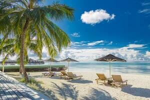 se détendre tourisme paysage. luxueux plage recours avec nager bassin et plage chaises ou chaises longues loisir mode de vie, en dessous de parapluies, paume des arbres, bleu ciel. été Voyage et vacances Contexte concept photo